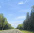 дорога_лето - Петрозаводск говорит