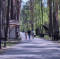 В Белгородской области наступил сезон повышенной активности клещей - Belnovosti.Ru
