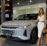 Почему EXEED RX становится идеальным автомобилем для путешествий? - SmolDaily.Ru