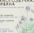 «Многозвучная тишина» стихотворно‑музыкальная фантазия - МБС г. Твери