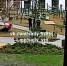 Подростки разнесли воронежский двор - МОЁ! Online