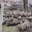 Активисты признали опасными 20 детских площадок в Гусь-Хрустальном - Progorod33.Ru
