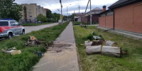 В посёлке Нежинском Предгорного округа ветер повалил дерево - ИА Победа 26