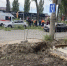 На Московской дерево упало на две машины: есть пострадавший - Gorod48.ru