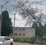 Ветер упавшее дерево - ParmaNews.Ru