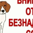 Администрация Луганска напоминает, куда и как заявить о животных без хозяина - Город Луганск