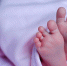Фото: Pixabay - Мой район