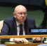 Постпред РФ при ООН Небензя сообщил об отсутствии переговоров с Киевом - ИА Общественная служба новостей