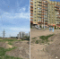 MyCollages (4) - Сетевое издание Арбуз