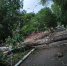 photo_2026-05-26 22.45.16 - Сетевое издание Арбуз