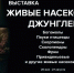Живые насекомые джунглей - Исторический музей-заповедник