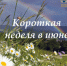 Короткая неделя в июне - Агентство по труду и занятости населения