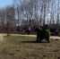 Детские и спортивные площадки Петропавловска приводят в порядок после зимы - ИА Кам 24