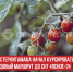 пост 1 - Cityopen.ru