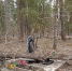 Кувинское кладбище - ParmaNews.Ru