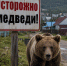 Медвежья семья замечена в окрестностях поселка Мурты в Хакасии- жителей призывают не ходить в лес - Абакан 24