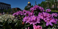 Александр Дрозденко поздравил петербуржцев с Днем основания города - ЛенТВ24