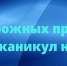 обращение начальника Госавтоинспекции к участникам дорожного движения в преддверии летних каникул - фото - 1 - Шумячский район