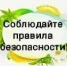 Лето без опасностей - Город Сорск