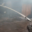 В Красноярском крае в огне погибли 60 птиц - 1-LINE