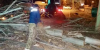 Коммунальные службы ликвидируют последствия штормового ветра в Астрахани - Астраханский листок
