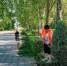 В городском округе Мелитополь продолжаются работы по благоустройству общественных территорий. - Город округ Мелитополь