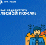 Как не допустить лесной пожар? - Музейно-выставочный центр