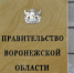 В Воронежской области 10 июня состоится общерегиональный день приема граждан - РИА Воронеж