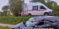 В Карелии машина с финскими номерами ночью влетела в столб - Gubdaily.Ru