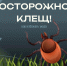 Осторожно, клещи! - Администрация г. Елец