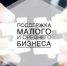 Информация о поддержке для представителей малого и среднего бизнеса, включая бесплатные комплексные услуги - Пролетарский район