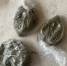В Калужской области за четыре месяца изъяли более 220 килограммов наркотиков - Калужский перекрёсток