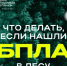 Нашли дрон в лесу? Рассказываем, что делать. - Тарногский муниципальный округ
