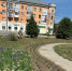 В Рубцовске приступили к высадке цветов - Rubtsovsk.Info