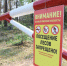 На землях лесного фонда Хабаровского края введен запрет на посещение гражданами лесов и въезд в них транспортных средств - Министерство лесного хозяйства