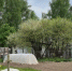 Калуга-поиск - Kaluga-Poisk.Ru