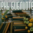 Объединенная научная медицинская библиотека поздравляет коллег-библиотекарей с профессиональным праздником! - Медицинский Университет им. Н.Н. Бурденко