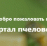 ban beekeeper - Минсельхоз Курской области