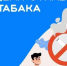 Вологжан приглашают участвовать в Неделе отказа от табака - OnlineVologda.Ru