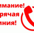 Фото из открытых источников. - Администрация МО