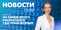 Новости Петербурга к 13:00 - tvspb.ru - ТК Санкт-Петербург