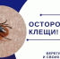 Осторожно, клещи!. - Емельяновский район