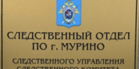 Во Всеволожском районе несовершеннолетняя предстанет перед судом по обвинению в хищении денежных средств в крупном размере - Следственный комитет