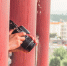 person-standing-red-pillars-holding-camera.jpg - Gorod3466.Ru