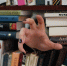 Как пройдет книжный фестиваль «Кислород» в Ставрополе? - ATVmedia.Ru