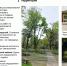 b2b9277a-6ec9-44cb-94fc-7335b45af305.jpg - Город Можга