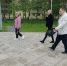 На прошлой неделе в городе был проведен плановый обход территории по улице Комсомольской, на участке от улицы Шитова до проспекта 50-летия Победы. - Тутаевский район