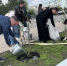 Настоятель храма в Сосновоборске принял участие в озеленении центральной площади города - Епархия