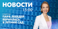 Новости Петербурга к 15:00 - tvspb.ru - ТК Санкт-Петербург