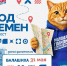 Глава Балашихи Юров примет участие в квесте «Город пЕРемен» - РТВ-Подмосковье